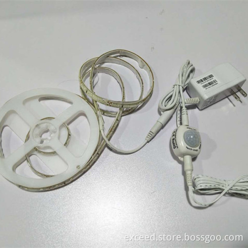 Double Body Sensor LED Bed Light